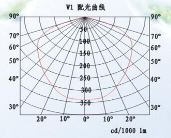 SNE237 LED應(yīng)急泛光燈